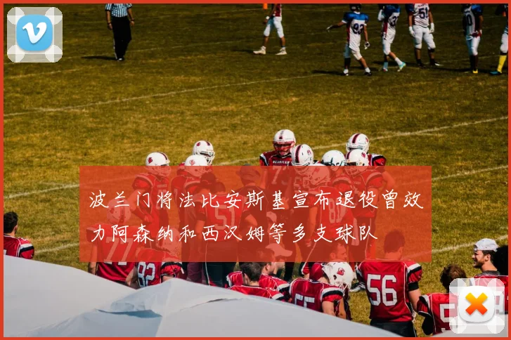 波兰门将法比安斯基宣布退役曾效力阿森纳和西汉姆等多支球队