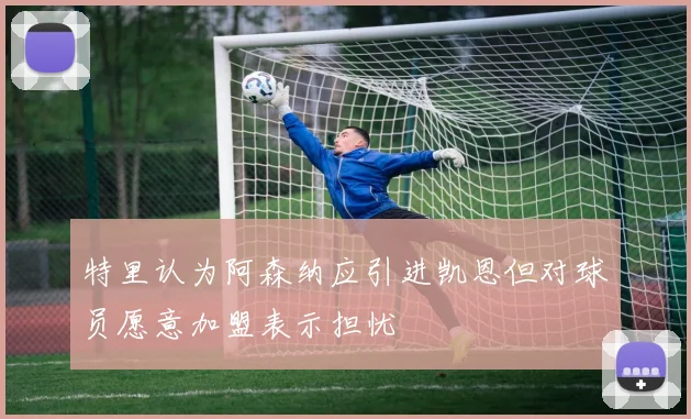 特里认为阿森纳应引进凯恩但对球员愿意加盟表示担忧