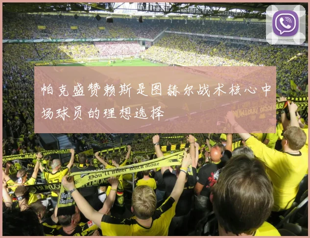 帕克盛赞赖斯是图赫尔战术核心中场球员的理想选择
